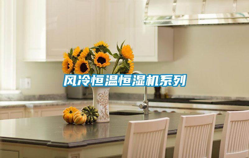 風(fēng)冷恒溫恒濕機系列