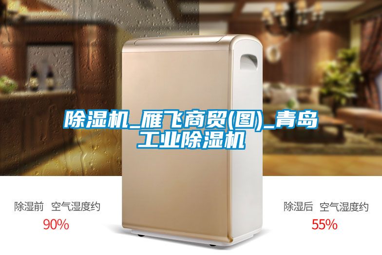 除濕機_雁飛商貿(圖)_青島工業除濕機
